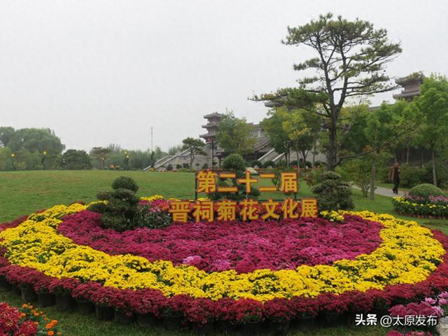 这个假期来晋祠园林中心观菊花展！