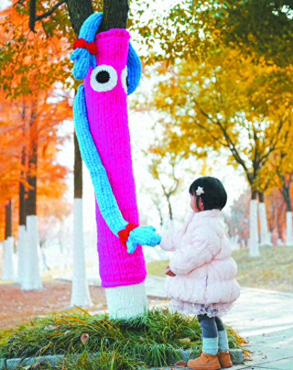 合肥青年创意田园“树衣展”温暖冬日