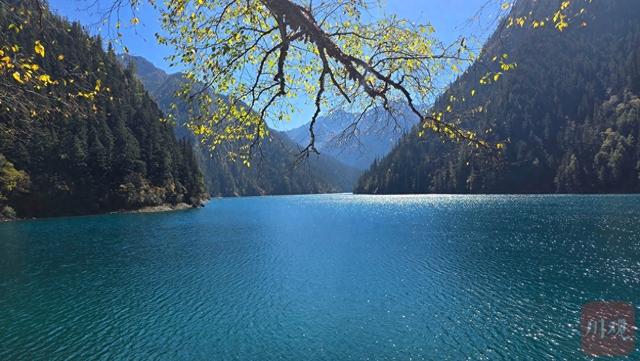 解码“九寨蓝”丨科创未来