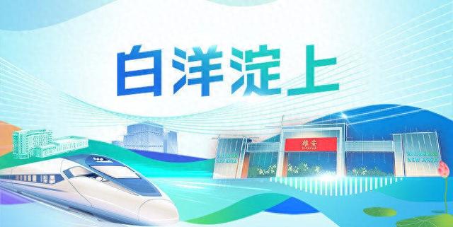 白洋淀上丨“初相识”看引力 “常相伴”靠合力