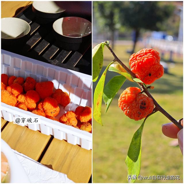 长乐又一条徒步路线，小众冷门，好天气就出发