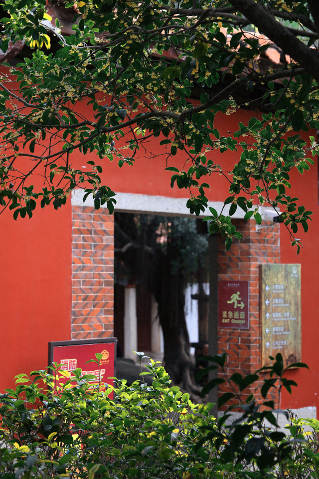 破案了！西街飘散的香味，源头竟然在开元寺