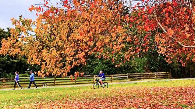 别被知识框住，让感觉领着活
