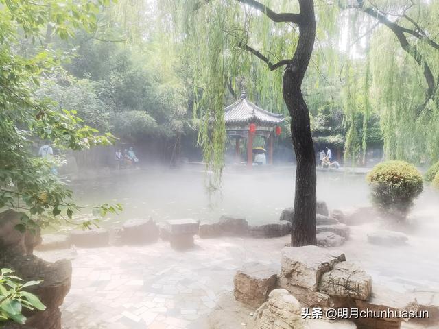 薛晓平画家简介（也来淄博逛聊斋）