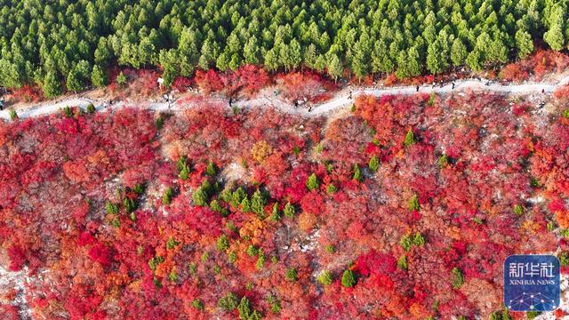 热门消息-山东济南：“等分春色”蝎子山(1)
