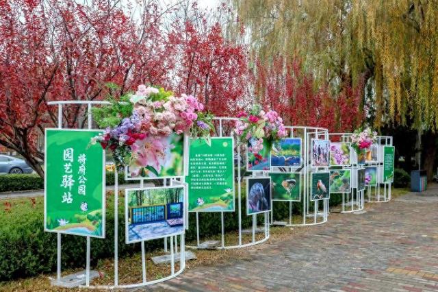 大美北京｜北京建成113家园艺驿站 活动信息线上可查