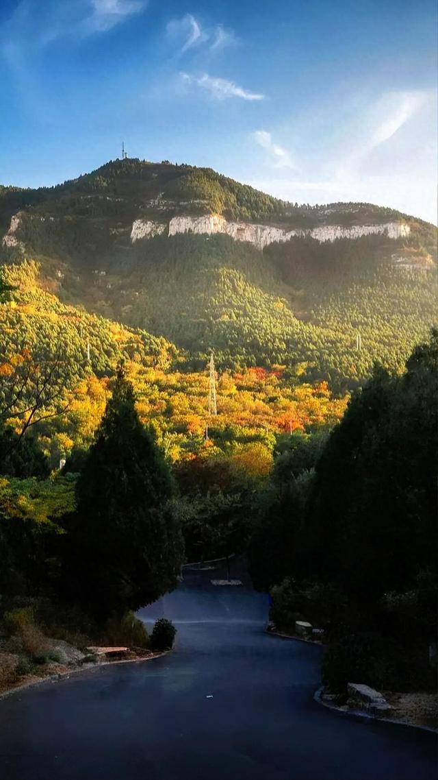 听说，山东的山最近变得「毛茸茸」？