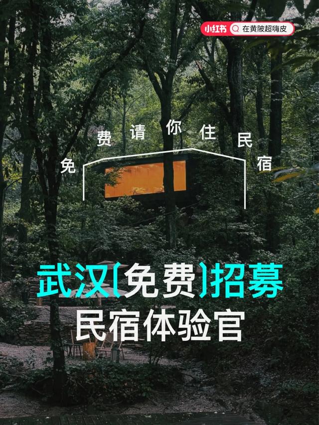 免费住!黄陂10+精品民宿等你体验!