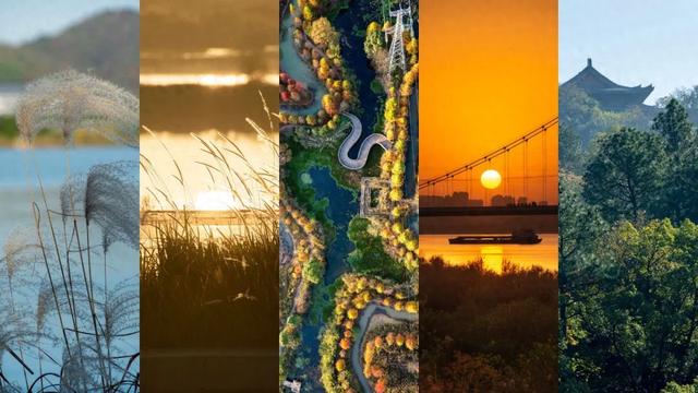 @0731，一组绿心秋色卡，请查收！