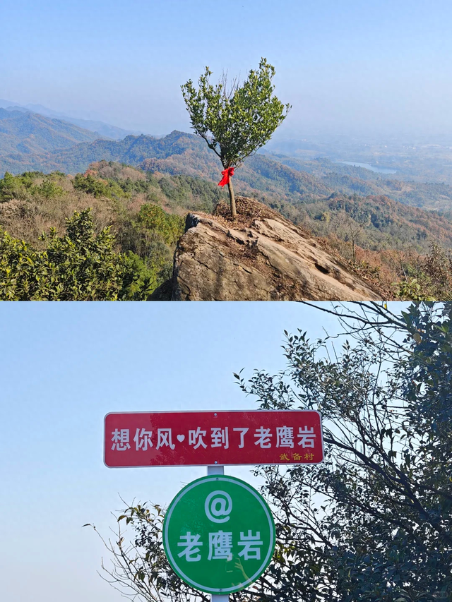 奖牌首发！成都1.5h新晋野趣徒步线，绳索上下+森林秋千，太野了