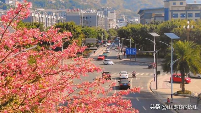 四川“反常”的宝藏城市，被誉为川版小三亚，冬季避寒很实惠？