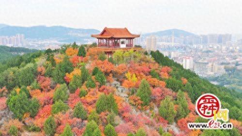 红叶燃遍英雄山