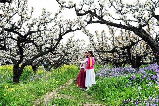 春光明媚 跟着摄影师镜头畅游美丽中国