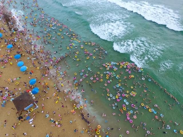 接待455.3万人次！最爱阳江的是这几个省的游客