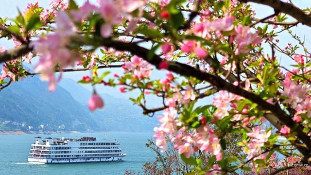 春和景明 共赴一场繁花之约