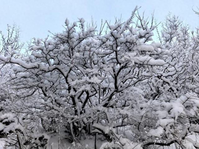 美爆了！快来八达岭看银装素裹的长城盛景