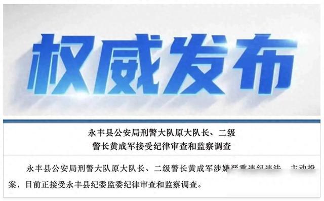 刑警队长主动投案，全县警队震动，调查进展成谜
