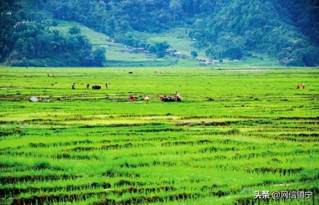 2025年中央一号文件中的“殡葬改革”