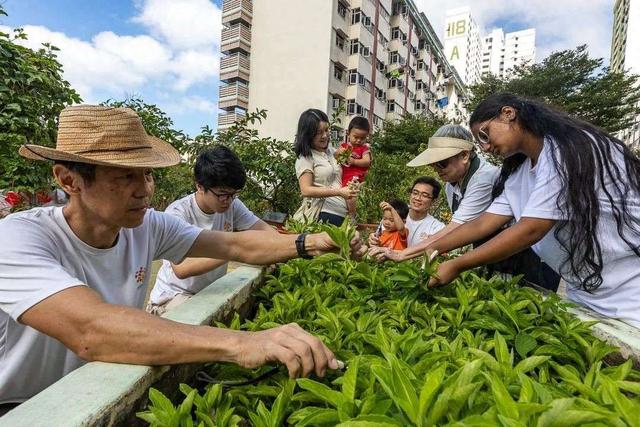 新加坡园艺节HortFest来袭！打卡三大新花园，体验香皂手作与露天电影