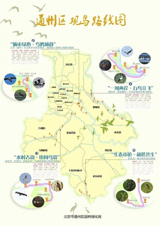 通州区发布四条观鸟路线