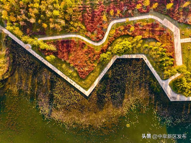 与中牟新区的秋，赴一场慢时光之约