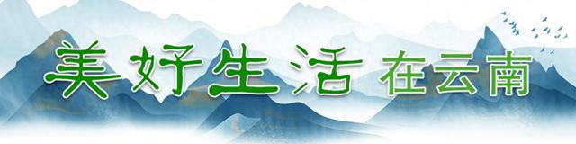 “哪儿凉快哪儿待着去”？我选云南！丨有一种叫云南的生活之365天