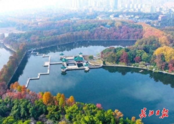 长江评论 | 满城秋色，皆是匠心