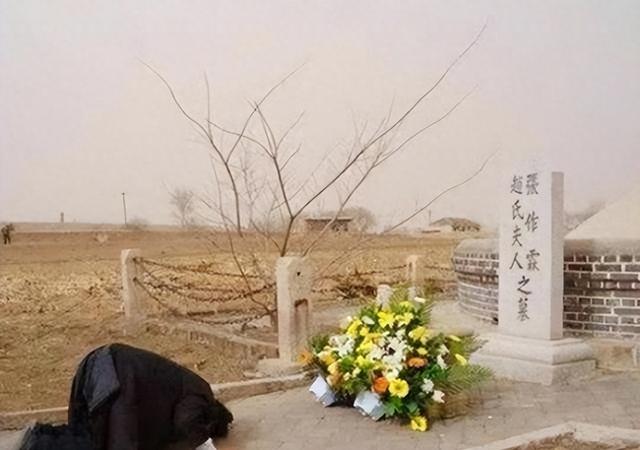 赵一荻独子回国扫墓，跪在张作霖墓前大哭：我代表您儿子来看您了