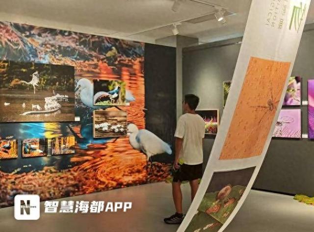 闽滇两省图书馆签约共享数字资源，385册滇特色文献入闽