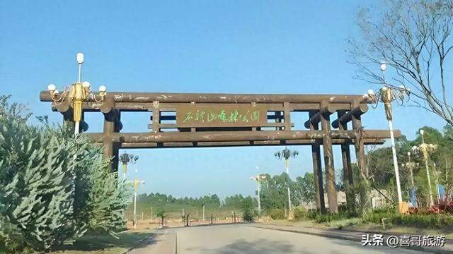 七台河秘境：石龙山，一座森林的四季诗篇