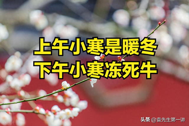 “上午小寒是暖冬，下午小寒冻死牛”，今年小寒几点？有啥说法？