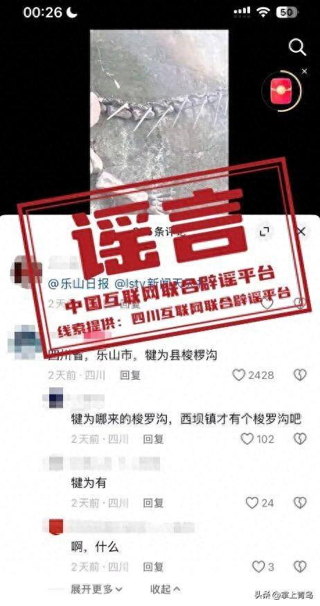 “2026年春运绿皮火车严重超员”一造谣者主动投案