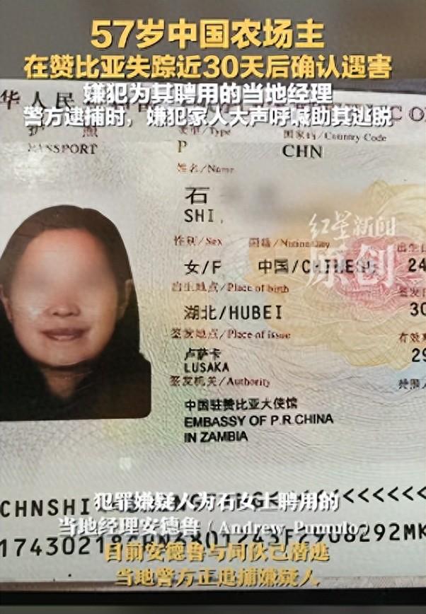 中国女农场主在赞比亚遇难，死因曝光！韩红的话，终于有人信了