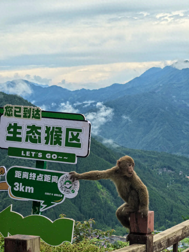 成都1.5h || 25℃天然空调+徒步避暑，这个地方带娃遛狗太绝了！