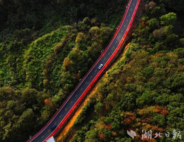 蕲春农村公路的秋藏着田园风光和丰收喜悦