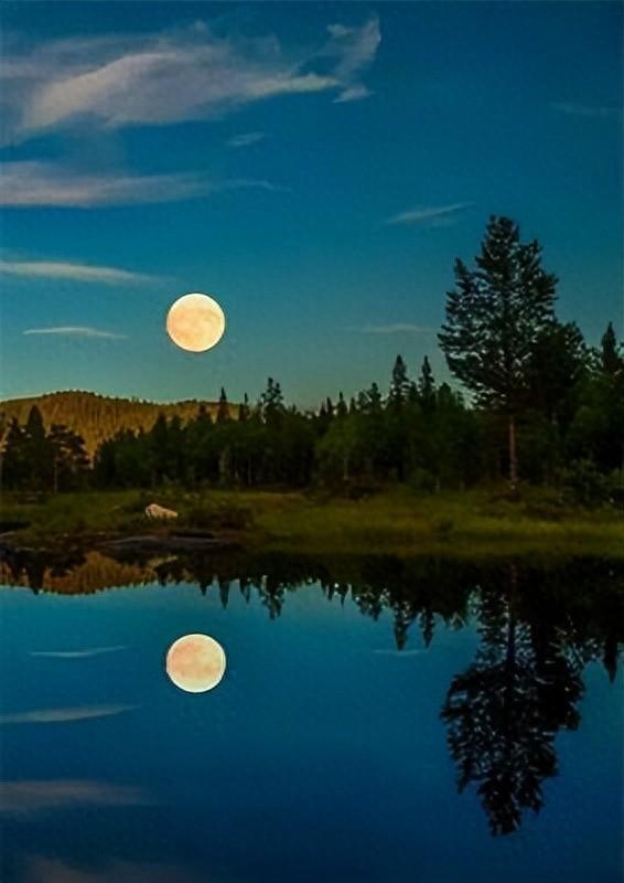 秋色共婵娟（散文）