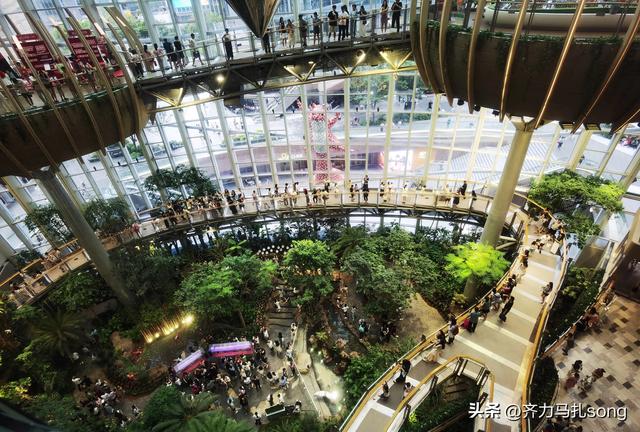 中年负责1043万，竭力前行第1162天 限定快乐
