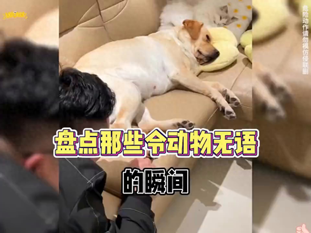 奥特曼奥特曼看奥特曼（看一遍笑一遍）