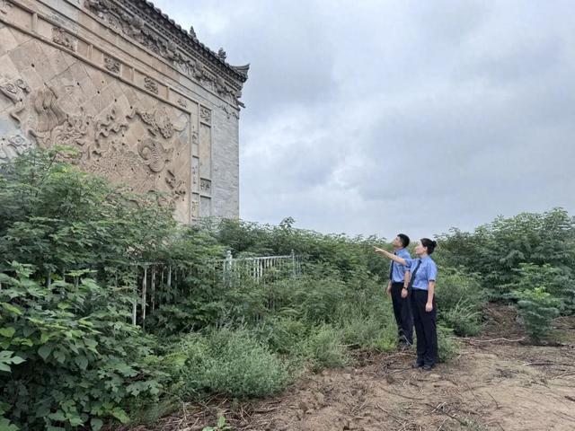 【文化“寻保传”】礼泉检察：守护文化薪火 赓续岁月记忆