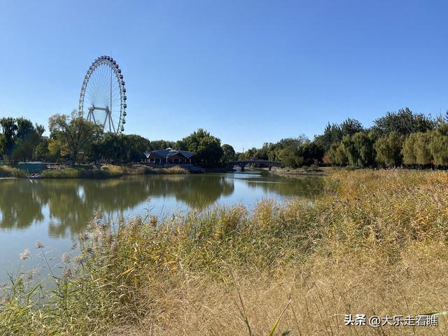 回不去的游乐园，拔不断的童年记忆