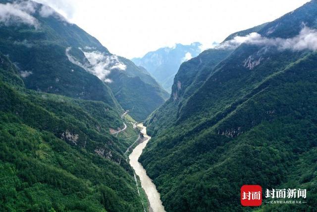 还魂草“复活”、崖柏成林、阳鱼穿溪！巴山大峡谷藏了多少宝藏？ | 创5A·巴山大峡谷更好玩