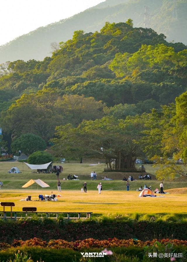 发现深圳“阿勒泰”这些机位的人，真是天才！