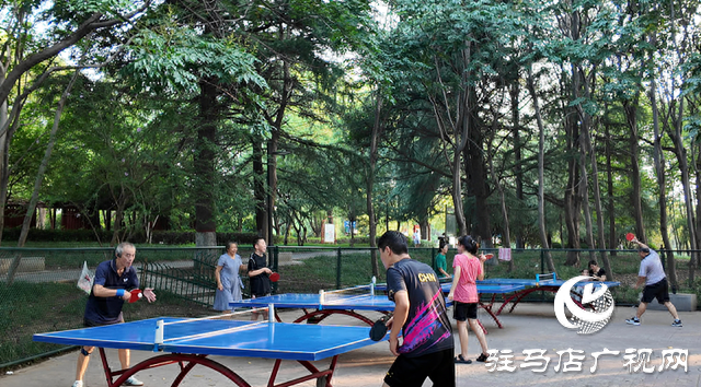 驿城区：城市公园让市民共享美好生活