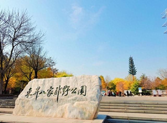 惊艳！身边的北京秋景“天花板”来了！