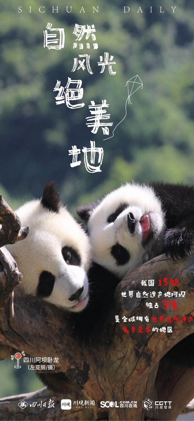 美进骨子里，一组海报带你看阿坝文旅“家底”有多厚？