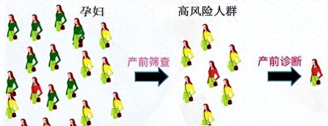 NT正常唐筛高风险怎么回事（唐筛提示高风险怎么办产科医生告诉你真相）