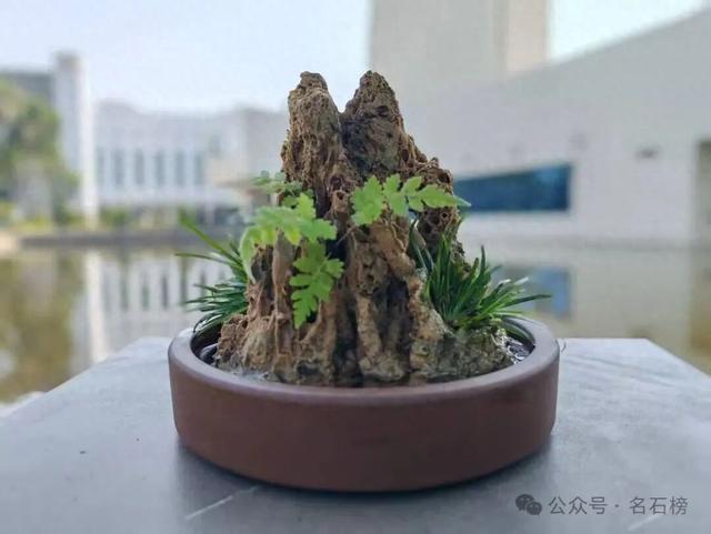 上水石盆景放在卧室可以吗（家里摆盆吸水石盆景）