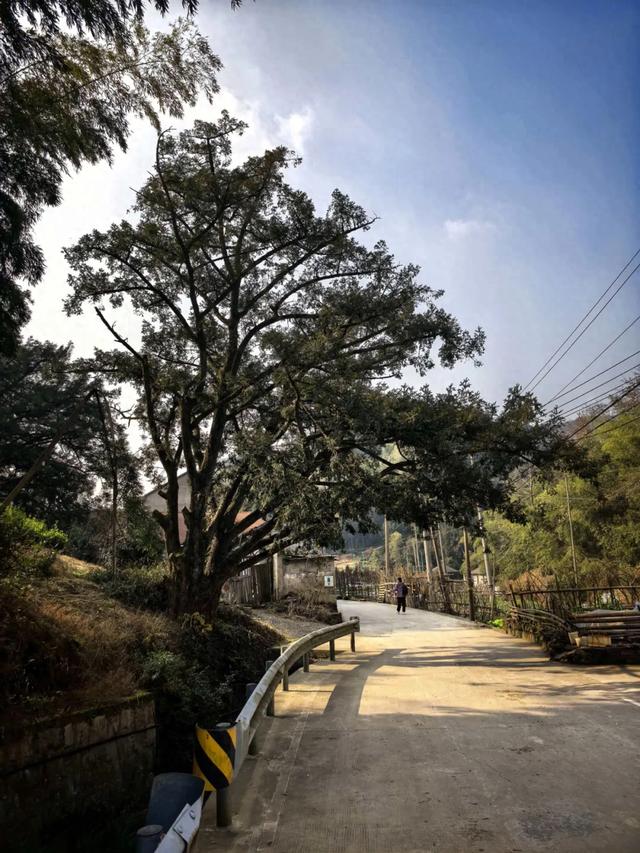 因何而徒，步履发声——徒步众生相