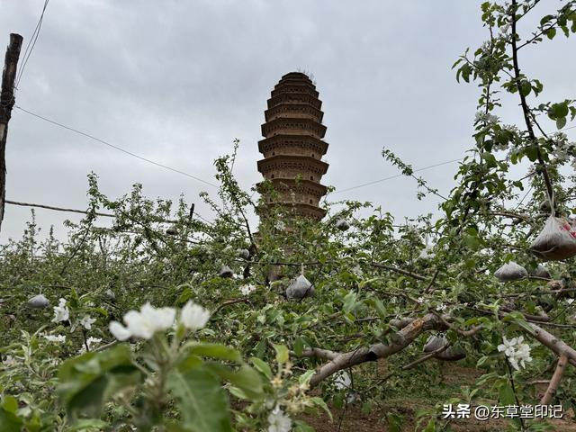 遗落乡间的瑰宝：陕西富县“石泓寺石窟”