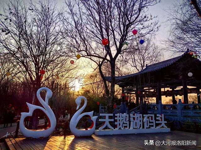 洛阳从政坊游园“杉水画坊”摄影展征稿启动，邀您定格秋冬诗意美景